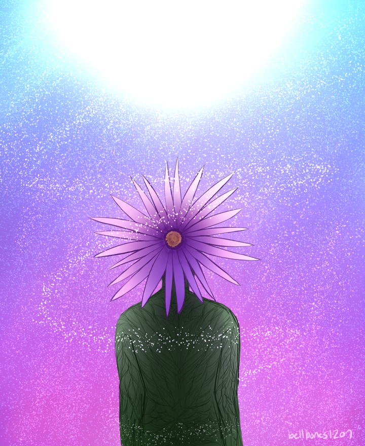 Aster Flower Looking Upon a Star