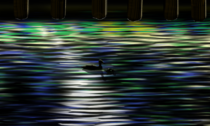 Ducks by docks